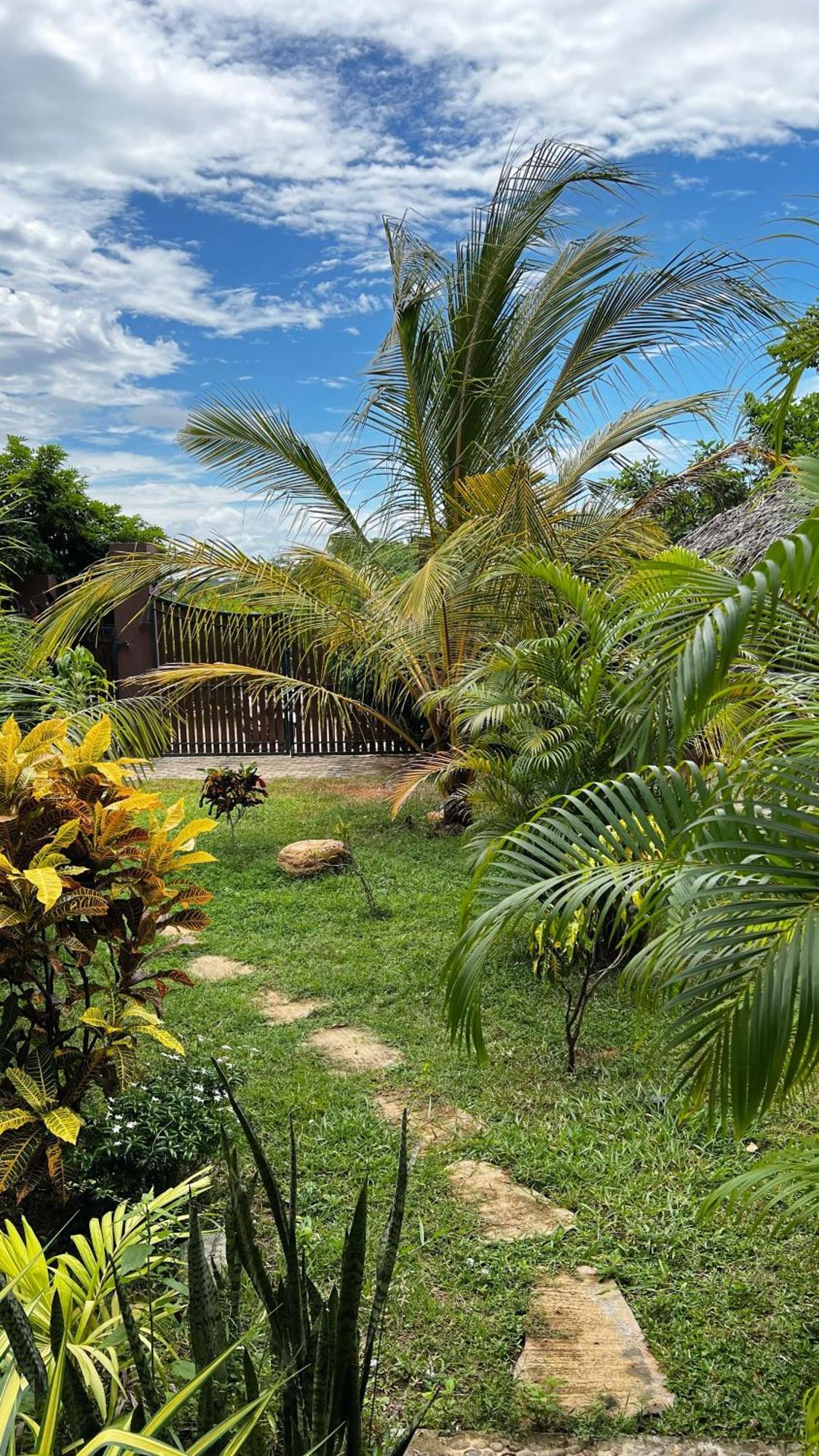 The Lookout Lodge แทนกาลเล ภายนอก รูปภาพ